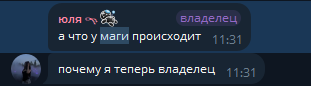 Статус владельца чата